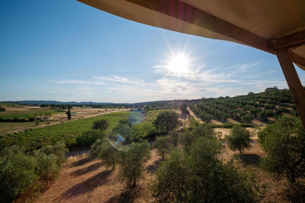 Glamping Podere San Jacopo Massa Marittima Zewnętrze zdjęcie