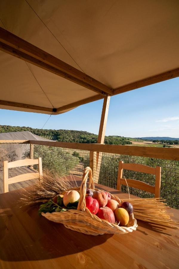 Glamping Podere San Jacopo Massa Marittima Zewnętrze zdjęcie